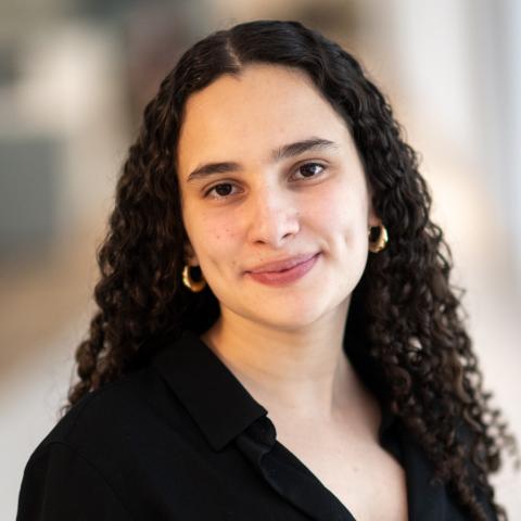 Natalie Arbatman Hudson Institute