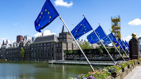 European flags are displayed in The Hague on June 5, 2024. (Nick Gammon/AFP via Getty Images)