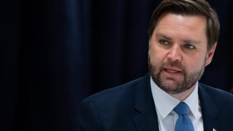 Vice President JD Vance will meet with Federal Foreign Minister Baerbock and Federal President Steinmeier at the the 61st Munich Security Conference. (Sven Hoppe/picture alliance via Getty Images)