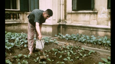 Somewhere in North Vietnam- US Navy Lieutenant Commander Richard Allen Stratton waters vegetables in a North Vietnamese prisoner-of-war camp on Christmas Day, 1968. (Bettmann via Getty Images)