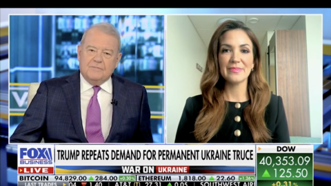 (Fox News Screenshot)