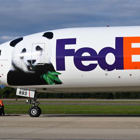 Giant Pandas Qing Bao and Bao Li arrive at the Fed Ex office in Dulles, Virginia, on October 15, 2024. (Craig Hudson/The Washington Post via Getty Images)